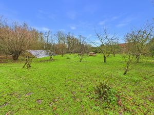 Orchard- click for photo gallery